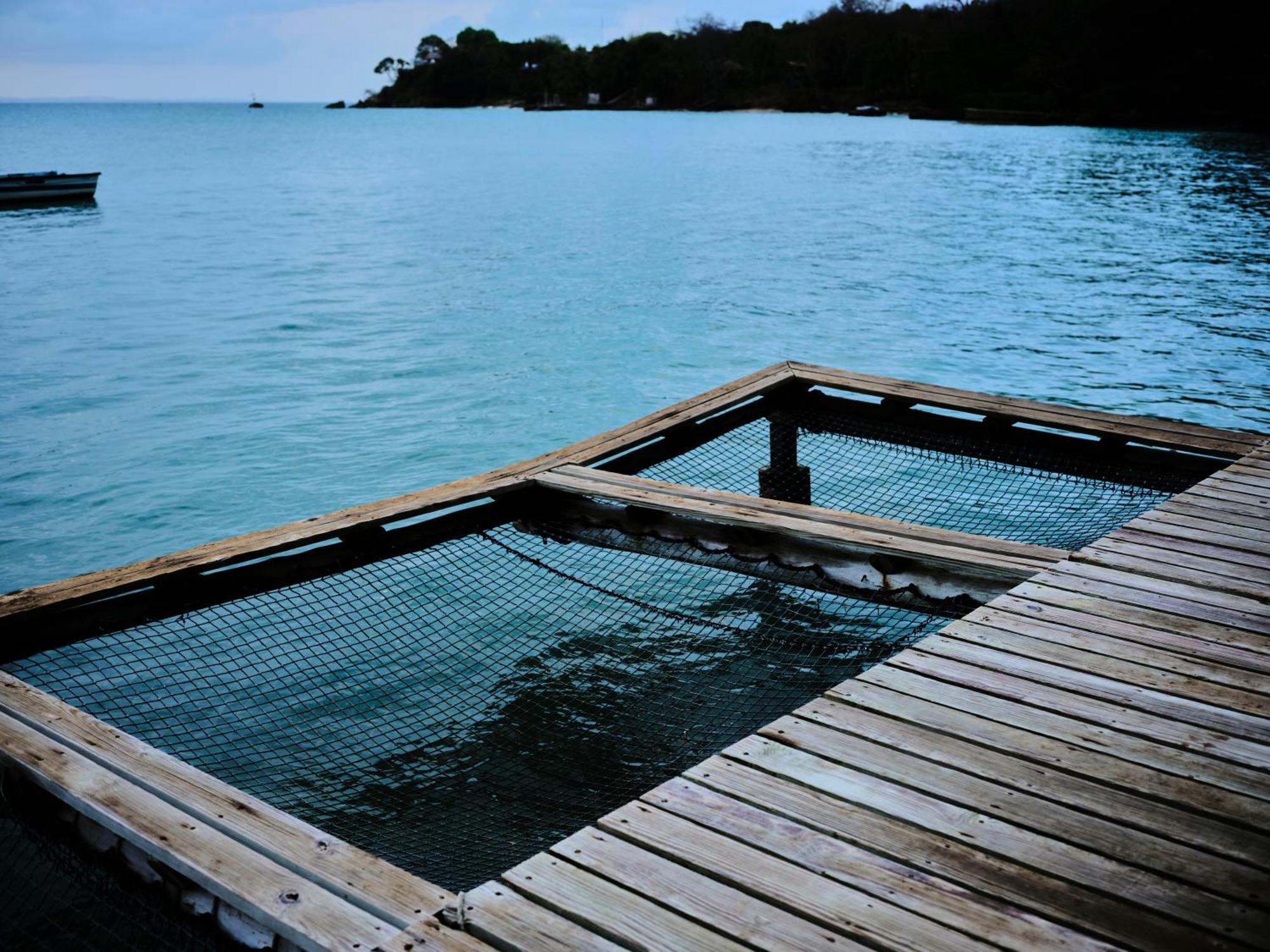 Isla Fuerte Eco House Villa Puerto Limon Exterior photo